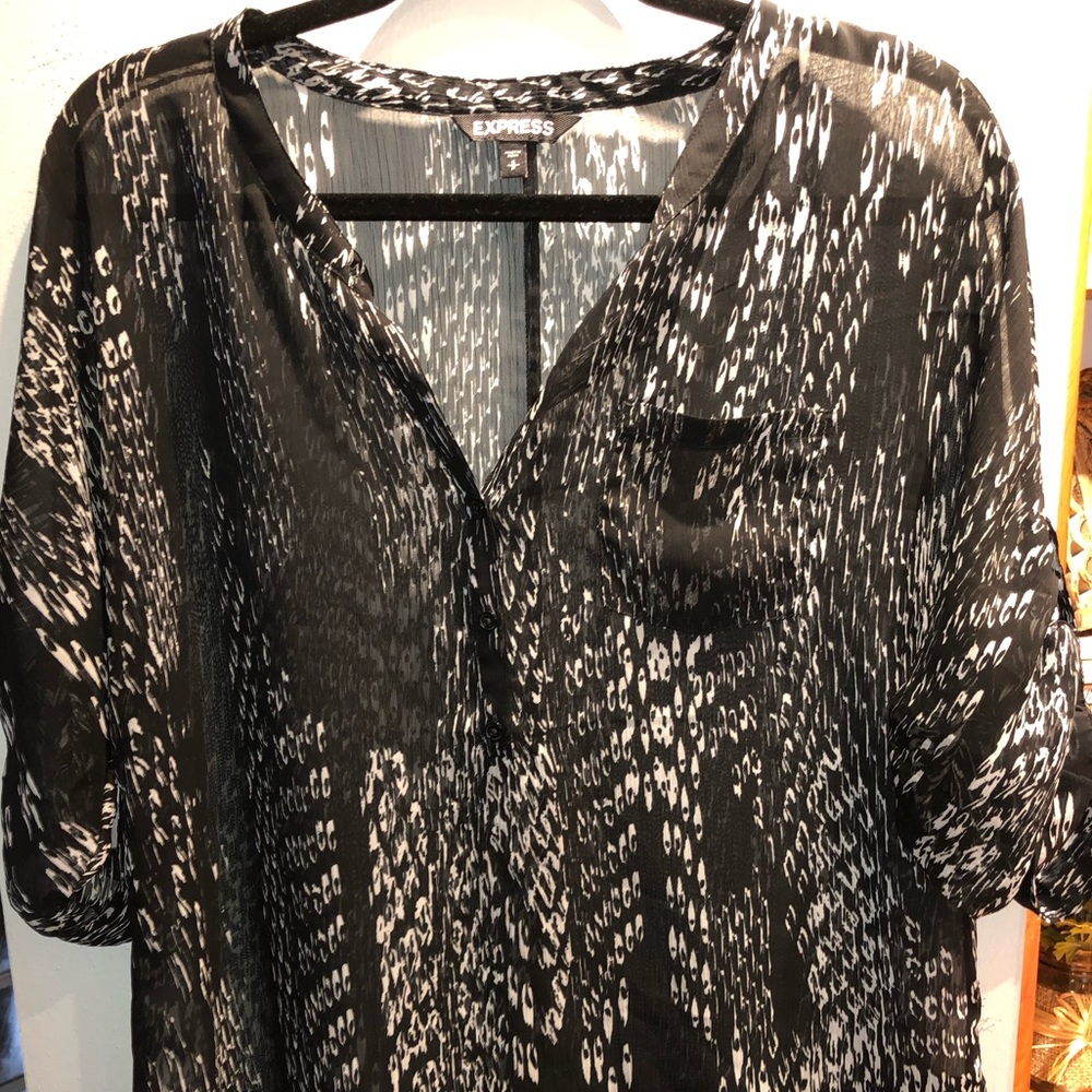 EXPRESS SHEER TOP